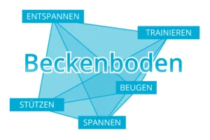 Grafik zum Thema Beckenboden mit den Begriffen Entspannen, Trainieren, Beugen, Stützen und Spannen auf blauem Hintergrund.