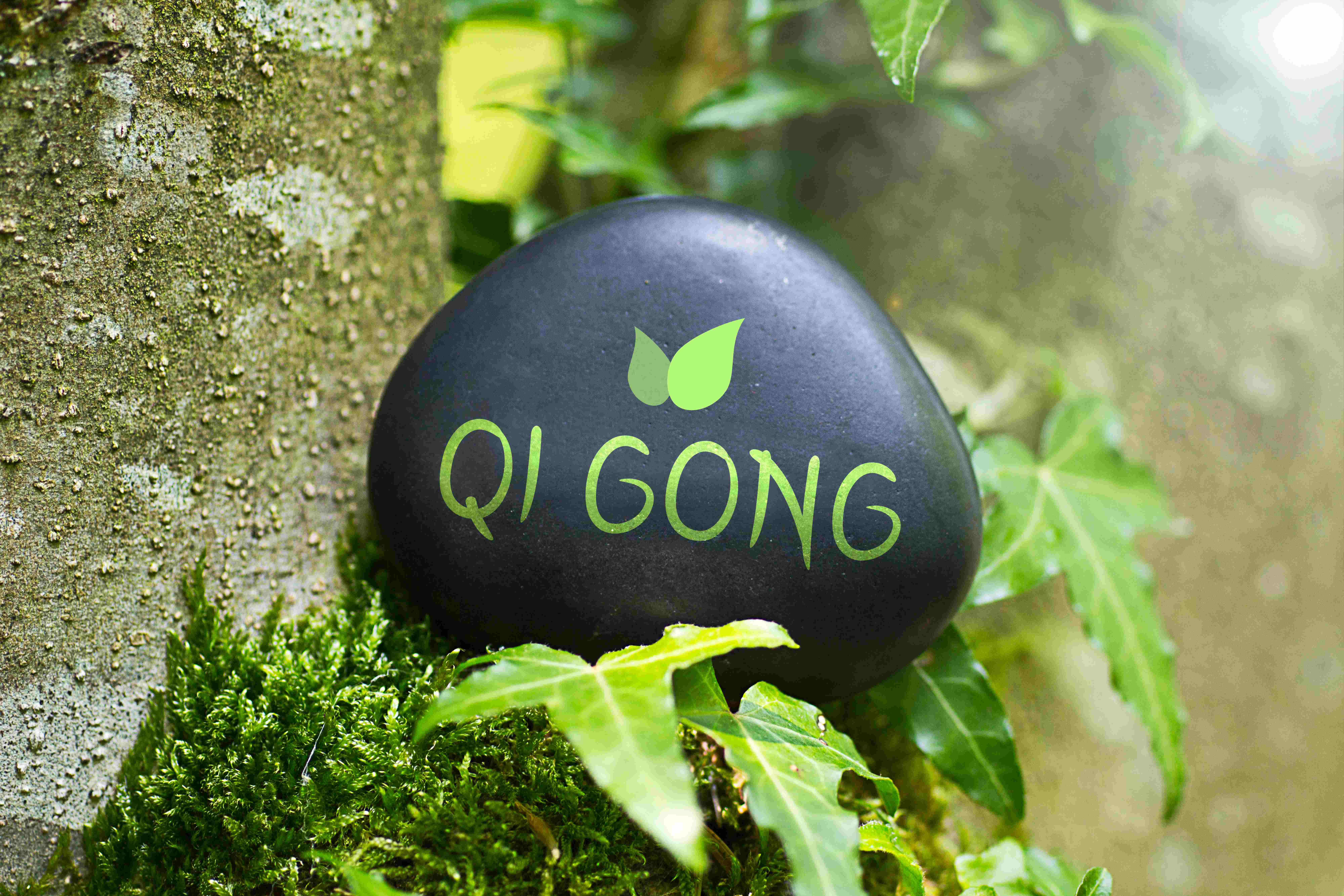 Ein schwarzer Stein mit der Aufschrift Qi Gong und einem grünen Blattsymbol, platziert in einer natürlichen Umgebung mit Moos.